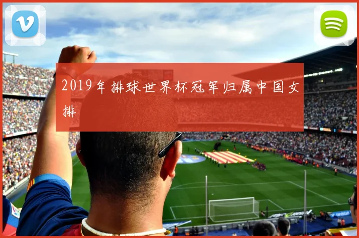 2019年排球世界杯冠军归属中国女排